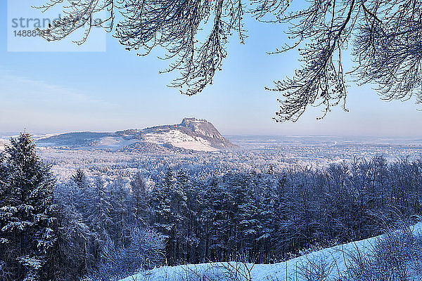 Deutschland  Baden-Württemberg  Kreis Konstanz  Hegau-Vulkan Hohentwiel im Winter