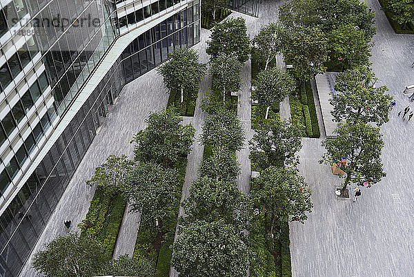 UK  London  Draufsicht auf den Finanzbezirk mit Bäumen im Innenhof