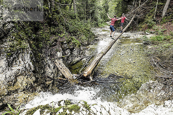 Deutschland  Bayern  Oberbayern  Walchensee  zwei junge Männer überqueren einen Wildbach auf einem Baumstamm  Zwillinge