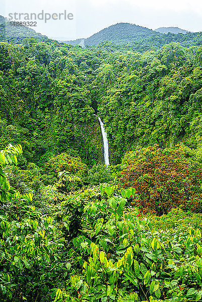 Costa Rica  Dschungellandschaft mit dem Wasserfall La Fortuna