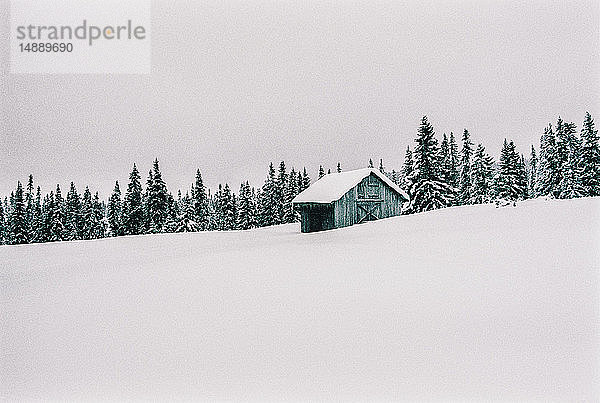 Norwegen  Lillehammer  Holzhütte in Winterlandschaft