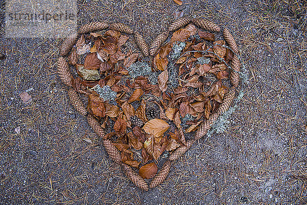 Herzform aus Herbstblättern und Tannenzapfen