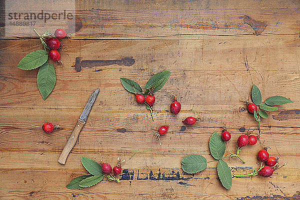 Rosenstöcke und Küchenmesser auf Holz
