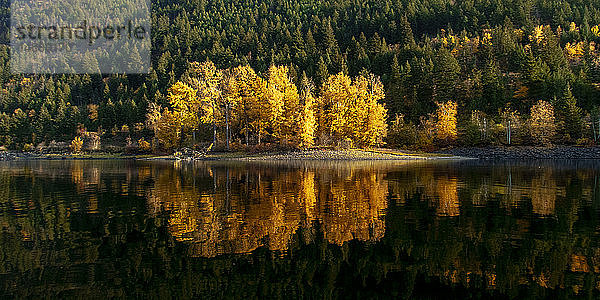 Kanada  Britisch-Kolumbien  Shuswap Lake im Herbst
