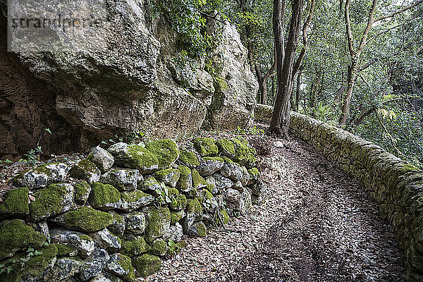 Sizilien  Provinz Syrakus  Noto Antica  Cava del Carosello  leerer Wanderweg