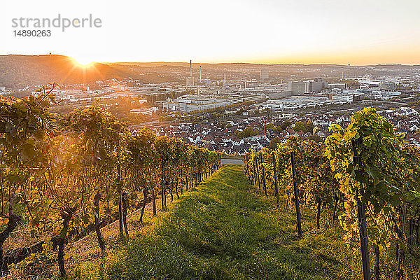 Deutschland  Baden-Württemberg  Stuttgart  Untertürkheim und Bad Cannstatt gegen die Sonne  Mercedes-Benz Werk und Mercedes-Benz Arena