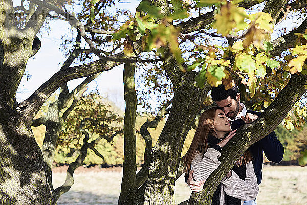 Liebespaar an einem Baum in einem Park