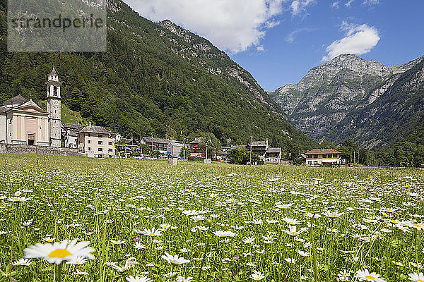 Schweiz  Tessin  Dorf Sonogno  Alpweide