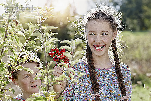 Porträt eines lächelnden Mädchens mit Zöpfen  das Rosenblüten zeigt  während ihr kleiner Bruder aus dem Hintergrund zusieht