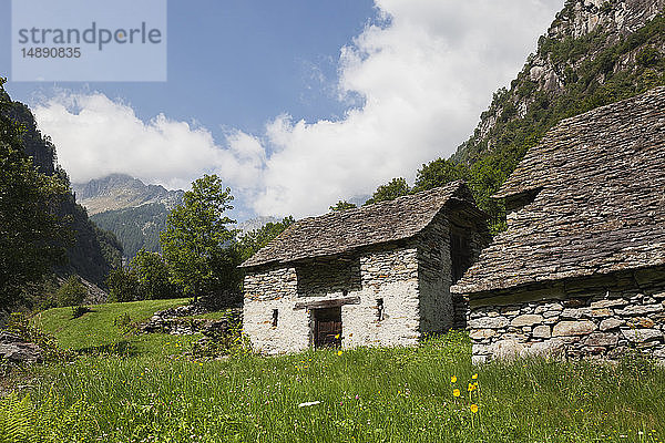 Schweiz  Tessin  Sonogno  typisches historisches Steinhaus und Sommerwiese