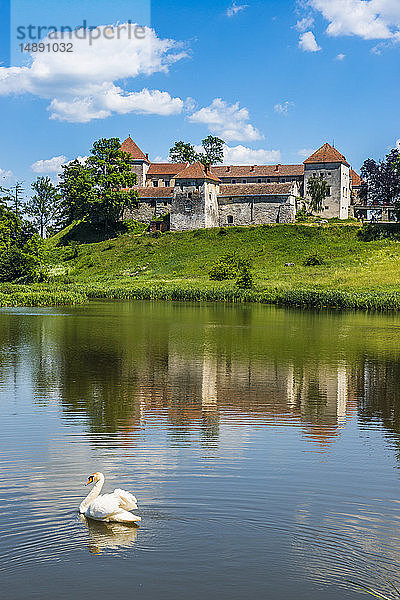 Schloss Svirzh  Oblast Lviv  Ukraine