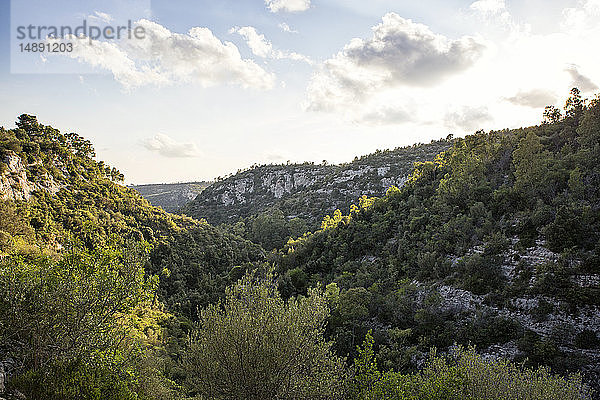 Sizilien  Provinz Syrakus  Noto Antica  Blick auf die Schlucht Cava del Carosello