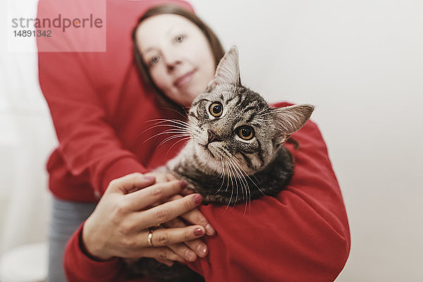 Homosexuelles Paar mit Kater