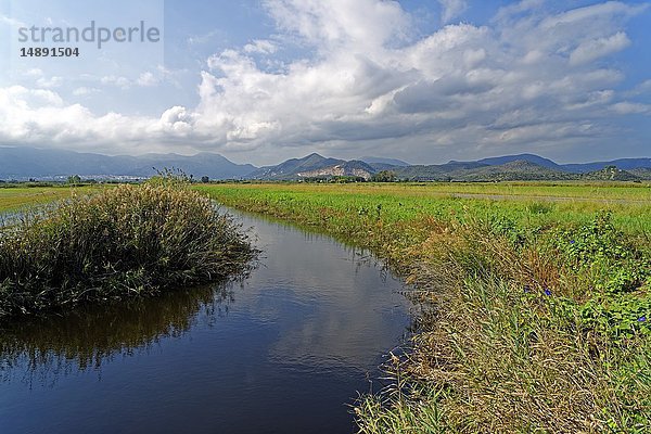 Parc Natural de la Marjal de Pego-Oliva  Provinz Alicante  Spanien  Europa