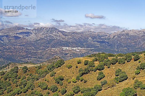 Mirador del Guadiaro  Provinz Malaga  Spanien  Europa