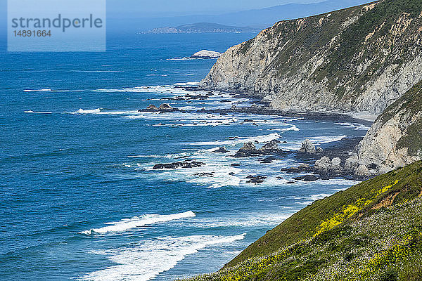 Küstenlinie in Tomales  San Francisco  USA