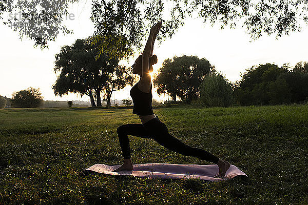 Junge Frau übt Yoga im Park bei Sonnenuntergang