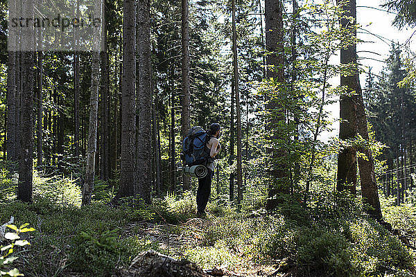 Wanderer im Wald