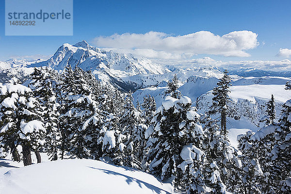 Mount Baker Skigebiet im Bundesstaat Washington  USA