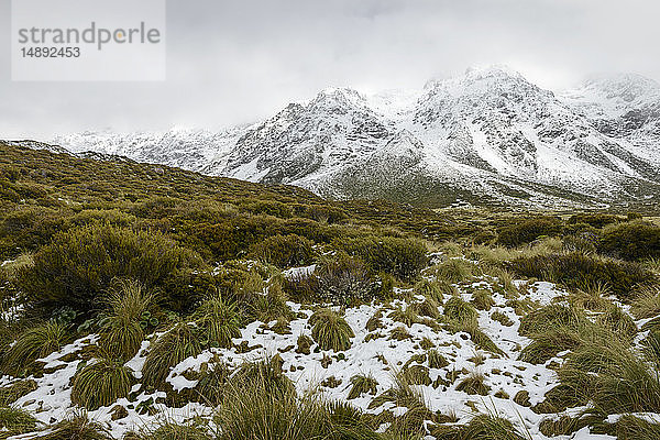Schnee im Hooker Valley  Mount Cook National Park  Neuseeland