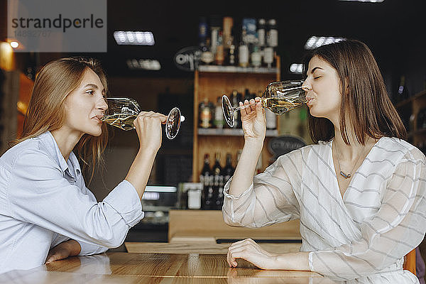 Junge Frauen trinken Weißwein