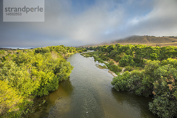 Von Bäumen gesäumter Fluss in Paso Robles  Kalifornien  USA