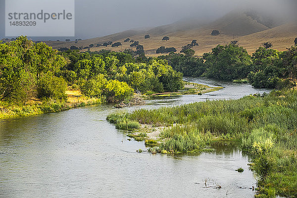 Von Bäumen gesäumter Fluss in Paso Robles  Kalifornien  USA
