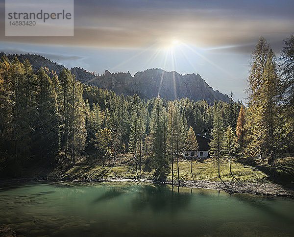 See und Pinienwald bei Sonnenaufgang in den Dolomiten  Südtirol  Italien