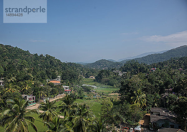 Asien  Sri Lanka  Kandy