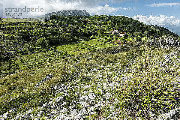 Italien  Kampanien  Cilento-Nationalpark  Masseta- und Infreschi-Küste  Ackerland; bg: Berg Bulgheria'