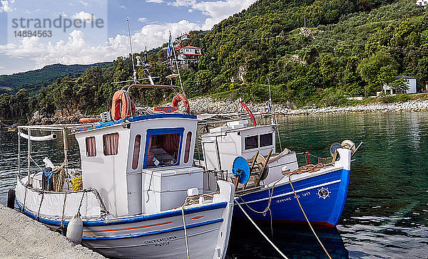 Griechenland  Ägäisches Meer  Halbinsel Pelion  Fischerboote im Hafen  Provinz Hessalien  Bezirk Magnesia
