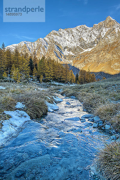 Italien  Aostatal  Nationalpark Gran Paradiso  Rhemes-Tal  La Grande Rousse (3.607 m) von der Entrelor-Hochebene; europäischer Lärchenwald im Herbst'.