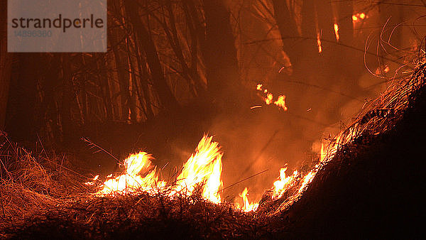 Waldbrand bei Nacht  Flächenbrand  Feuer  Berg  verbranntes Holz