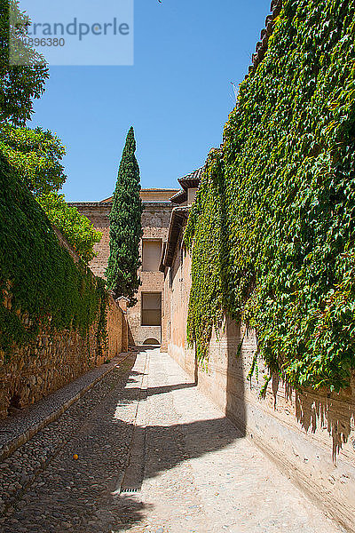 Europa  Spanien  Andalusien  Granada  Alhambra