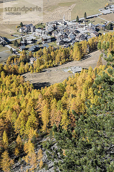 Italien  Aostatal  Nationalpark Gran Paradiso  Rhemes-Tal  Europäischer Lärchenwald im Herbst und Zirbelkiefer (Pinus cembra)  Alpendorf Rhemes-Notre-Dame