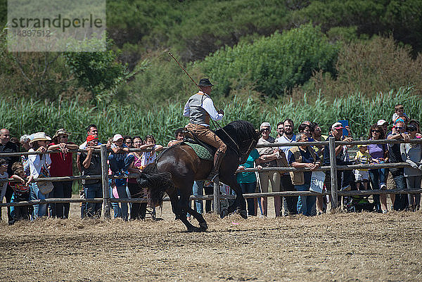 Europa  Italien  Latium  Tarquinia  Wildmesse  italienischer Cowboy  butteri