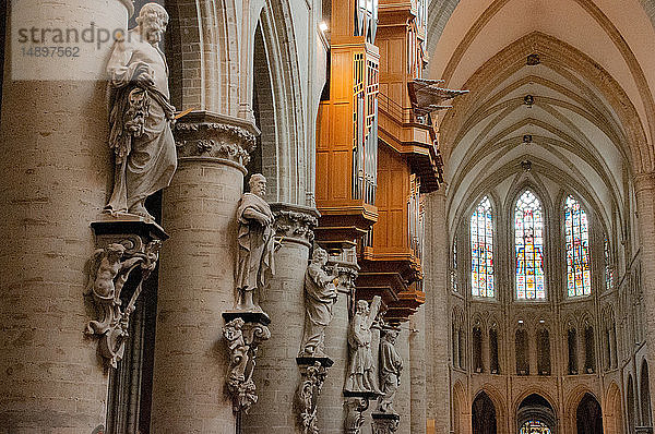Europa  Belgien  Brüssel  Die Kathedrale von St. Michael und St. Gudula