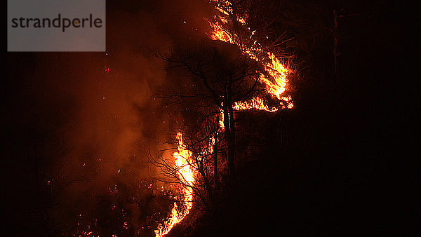 Waldbrand bei Nacht  Flächenbrand  Feuer  Berg  verbranntes Holz