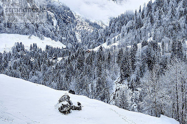 Österreich  Biosphärenpark Großes Walsertal  Buchboden  Berghütten  verschneiter Wald