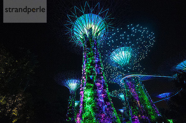 Asien  Singapur  Gardens by the Bay