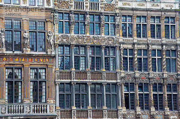 Europa  Belgien  Brüssel  Der Große Platz  Fassade La Louve  Fassade Le Sac  Fassade La Brouette
