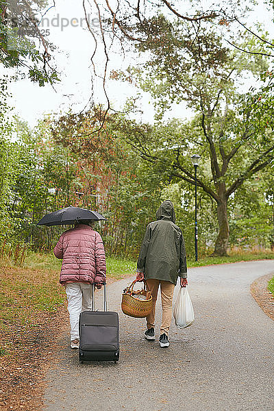 Rückansicht von Großmutter und Enkel mit Gepäck  die während der Regenzeit auf der Straße im Park spazieren gehen