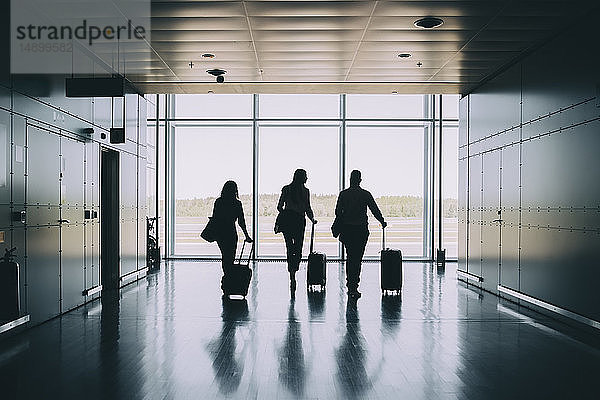 Rückansicht der Silhouette von Geschäftskollegen  die beim Gehen im Korridor am Flughafen Gepäck ziehen