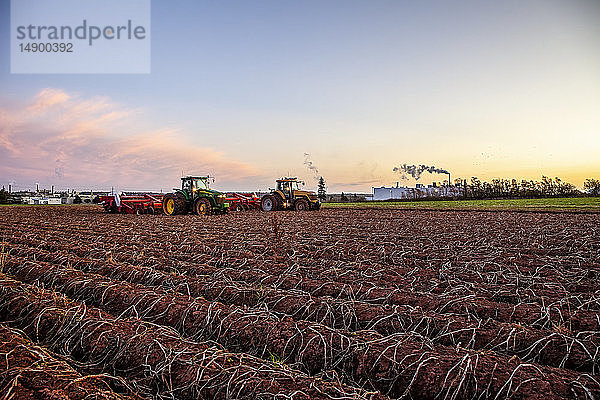 Landmaschinen bei der Kartoffelernte in der Abenddämmerung; Prince Edward Island  Kanada