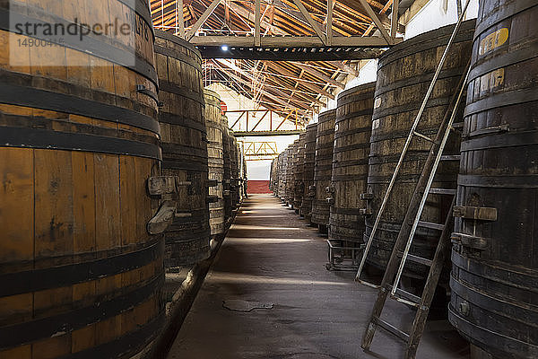 Reihe antiker Weinfässer aus Holz im Keller einer Weinkellerei; Maipu  Mendoza  Argentinien