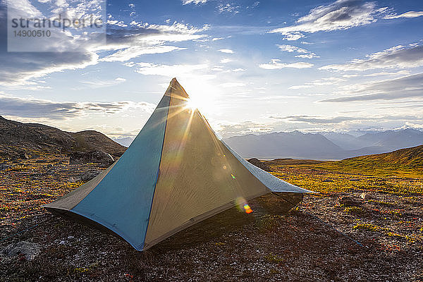 Aufgeschlagenes Zelt in der Tundra  früher Abend mit Sonne im Rücken  entlang des Kesugi Ridge Trail  Denali State Park  Alaska im Herbst  Süd-Zentral-Alaska; Alaska  Vereinigte Staaten von Amerika