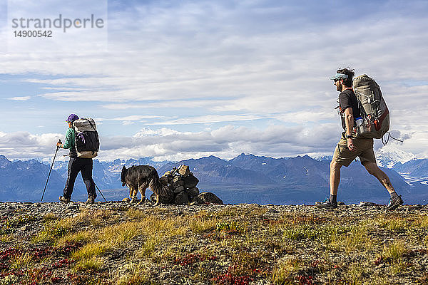 Frau mit Trekkingstöcken und Hund geht an einem Steinhaufen vorbei  während ein Mann auf dem Kesugi Ridge Trail folgt  Denali State Park  Süd-Zentral-Alaska; Alaska  Vereinigte Staaten von Amerika