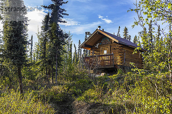 Borealis-LeFevre BLM-Hütte am Beaver Creek  National Wild and Scenic Rivers System  White Mountain National Recreation Area  Interior Alaska; Alaska  Vereinigte Staaten von Amerika