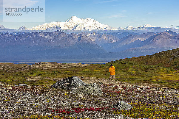 Mann genießt die Aussicht  Rucksacktour auf dem Kesugi Ridge Trail  Denali State Park  im Herbst mit der Alaska Range im Hintergrund  Süd-Zentral-Alaska; Alaska  Vereinigte Staaten von Amerika