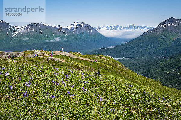 Touristen am Aussichtspunkt Top of the Cliffs am Exit Glacier im Kenai Fjords National Park  Süd-Zentral-Alaska an einem sonnigen Sommertag; Alaska  Vereinigte Staaten von Amerika